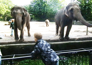 Besuch Tierpark Hagenbeck